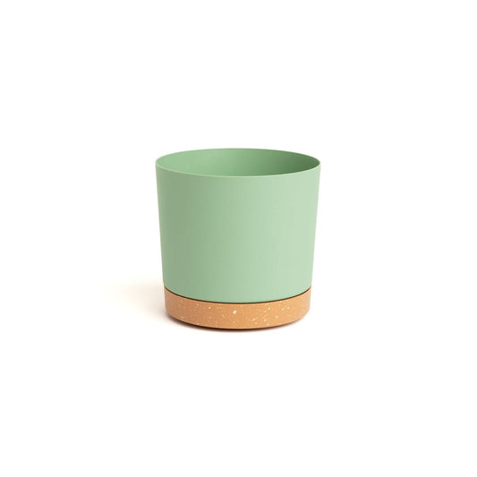 6.5" Contemporary Flower Pot with Saucer