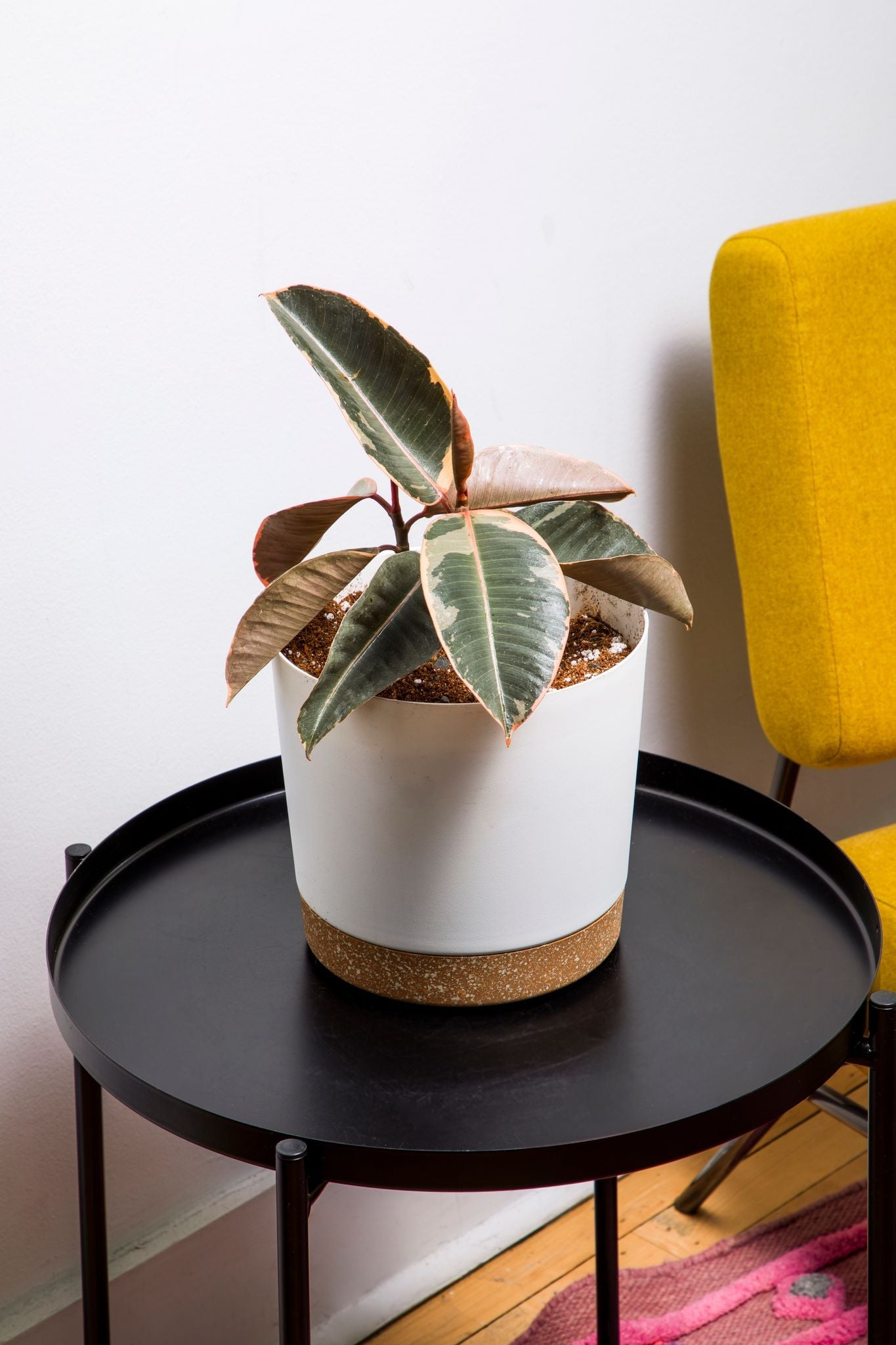 6.5" Contemporary Flower Pot with Saucer - Designer White