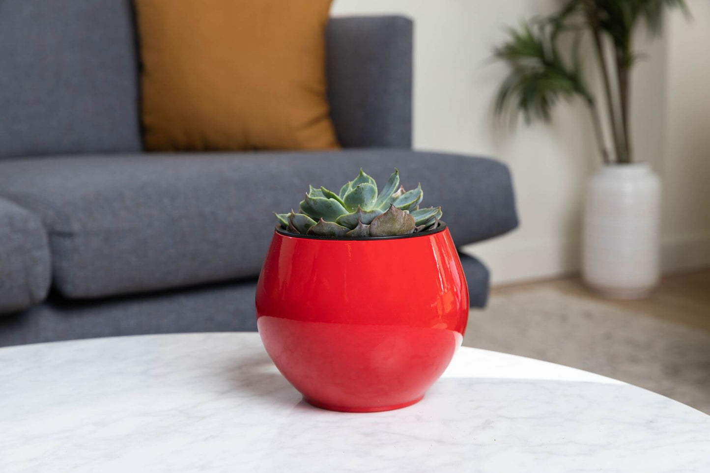 6 inch  Self Watering Pot - Ruby Red