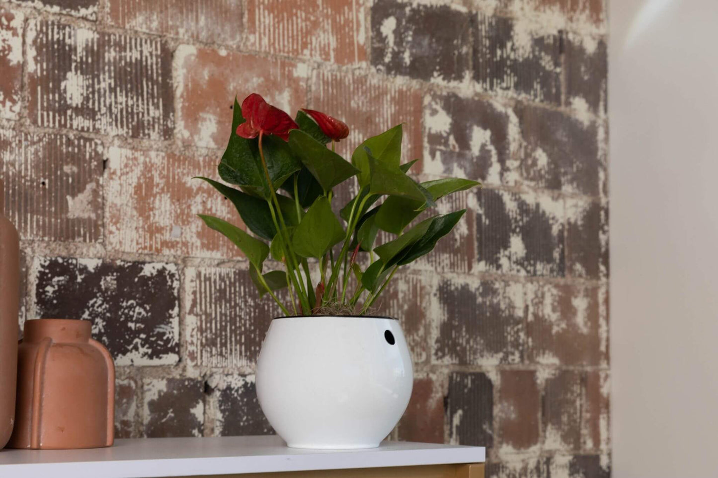 6 inch  Self Watering Pot - Designer White
