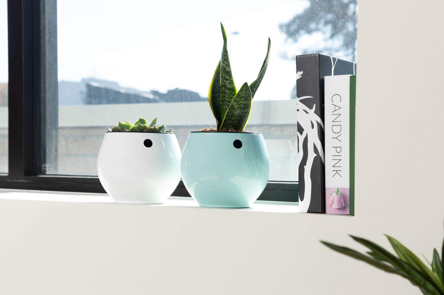 6 inch  Self Watering Pot - Ocean Blue