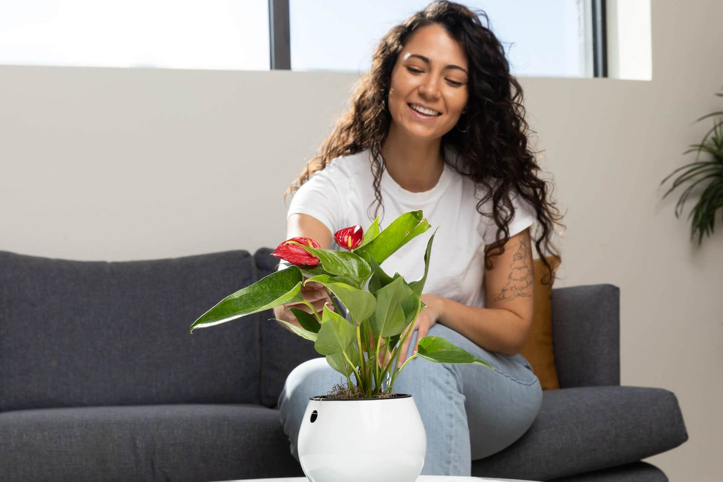 6 inch  Self Watering Pot - Designer White